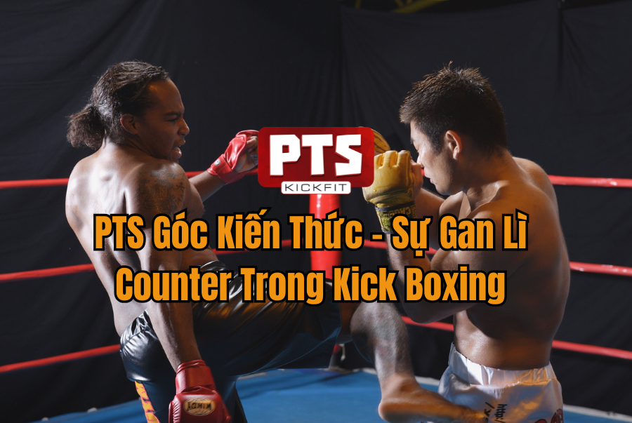 PTS Góc Kiến Thức - Sự Gan Lì Counter Trong Kick Boxing